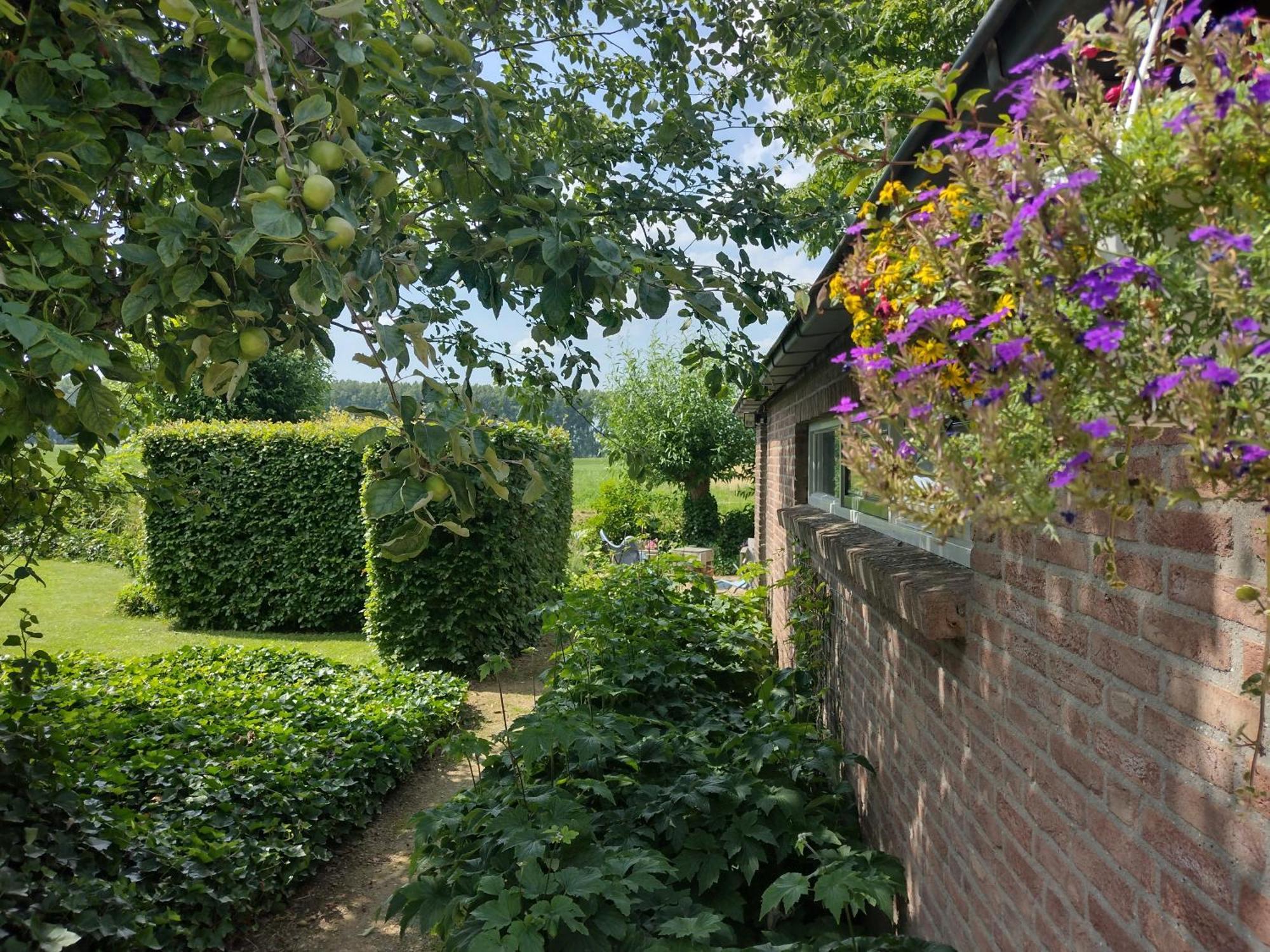 Holiday Cottage De Garage Inn Hank Bagian luar foto