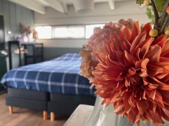 Holiday Cottage De Garage Inn Hank Bagian luar foto